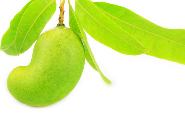 vihreä mango eristetty valkoisella taustalla, suosittu tai kansainvälinen hedelmä, terveellisiä hedelmiä
. - Valokuva, kuva