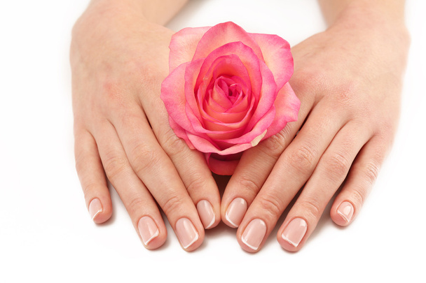 hands with beautiful rose  - Фото, изображение