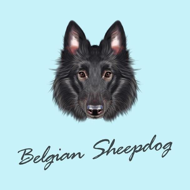 Вектор ілюстрований портрет бельгійська вівчарка. - Вектор, зображення