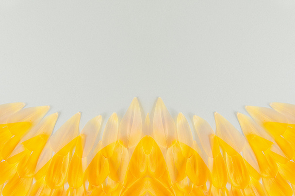 Abstract spring background with yellow flower petals. Background. Pattern. - Photo, Image