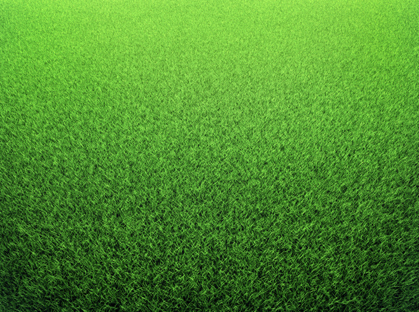 Grass Field - Photo, Image