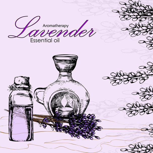 vector illustration of essential oil of lavender - Vektor, Bild