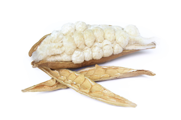 Kapok, Ceiba pentandra o cotone bianco di seta (Ceiba pentandr
 - Foto, immagini