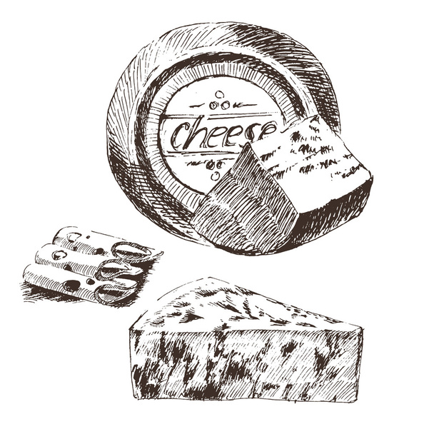 ベクトル チーズ スケッチ図面デザイナー テンプレート。ファーム フード コレクション。手描きの乳製品 - ベクター画像