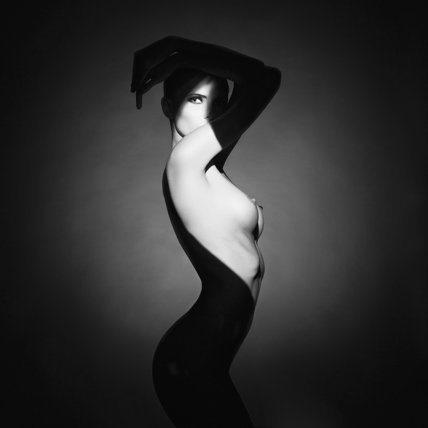 Gorgeous young lady with shadow on her body - Zdjęcie, obraz