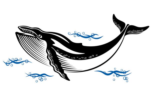 Wild walvis - Vector, afbeelding