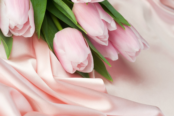 Tulips On Silk - Zdjęcie, obraz