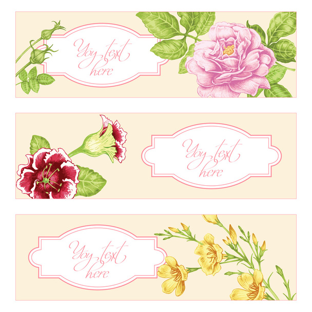 Σύνολο καρτών με την εικόνα των λουλουδιών και θέση για το κείμενο. - Διάνυσμα, εικόνα