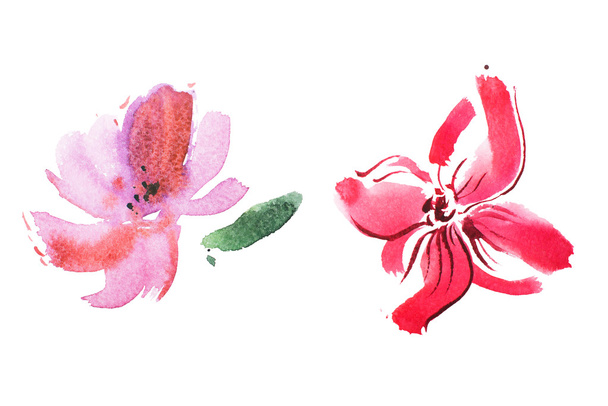 disegno ad acquerello di gigli rosa
  - Foto, immagini