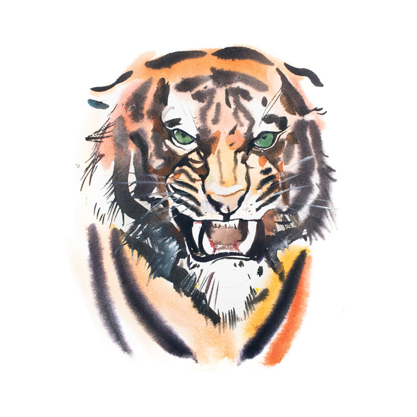   rozzlobený vypadající tygr.  - Fotografie, Obrázek