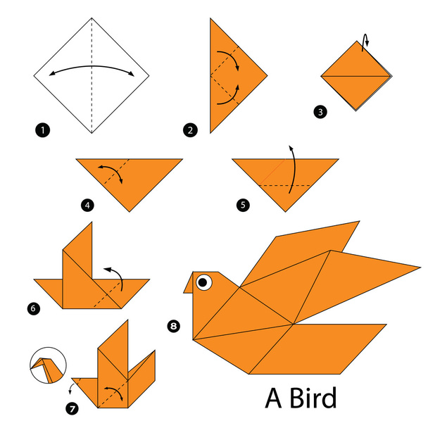 lépésről lépésre Hogyan készítsünk origami A madár. - Vektor, kép