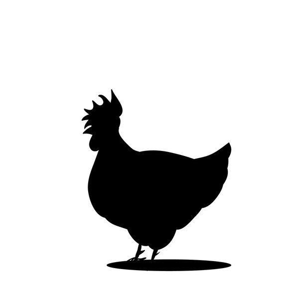 Black Silhouette of hen on a white background. - Vector, Image