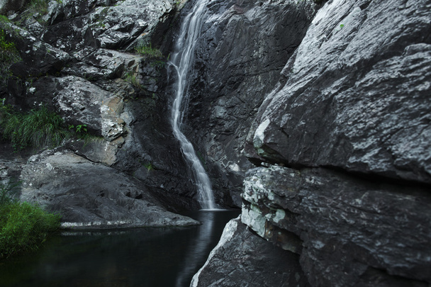 Cedar Creek Falls in Mount Tamborine - Fotó, kép