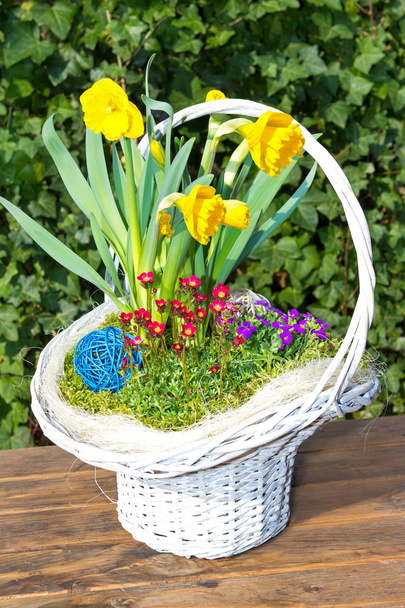 Beautiful white Basket with sping flowers - Photo, Image