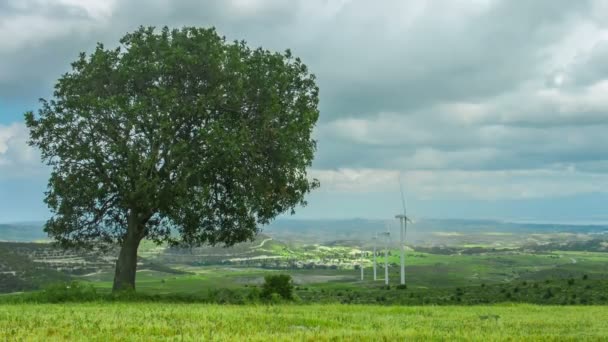 Tree growing on wind farm. Green energy. Environment protection, global warming - Footage, Video