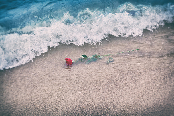 Κύματα και το πλύσιμο μακριά ένα κόκκινο τριαντάφυλλο  - Φωτογραφία, εικόνα