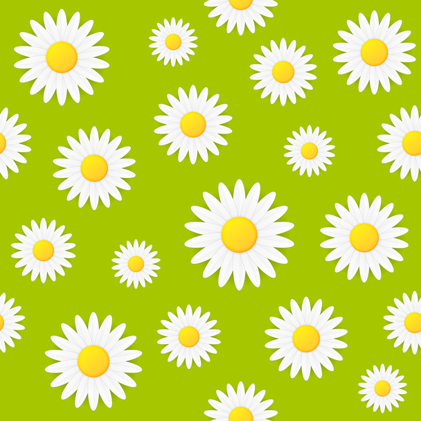 Seamless spring natural daisy flower vector background - Vetor, Imagem