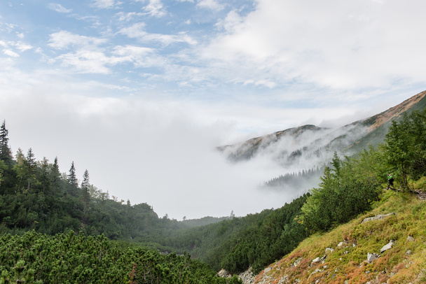 Гори Татри Словаччини покриті хмари - Фото, зображення
