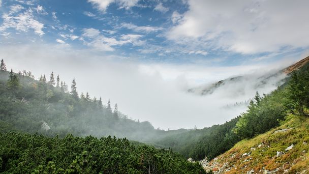 スロバキアのタトラ山脈は雲で覆われています。 - 写真・画像