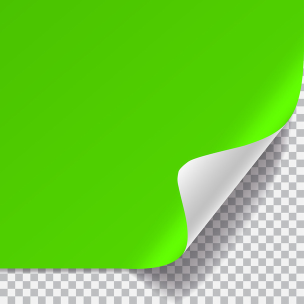 Green and white sheet of paper with curved corner - Vector, Image