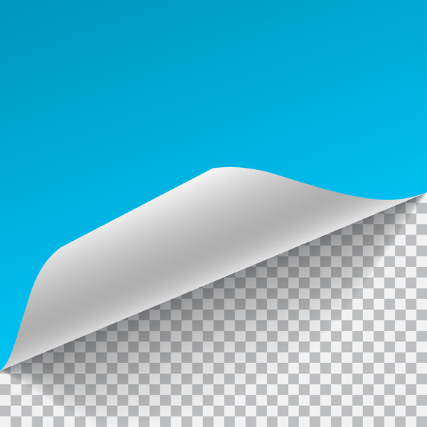 Light blue and white sheet of paper with curved corner - Vector, Image