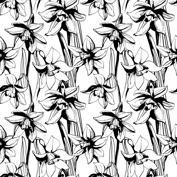 Floral flower narcissus seamless hand drawn pattern. Black and w - ベクター画像