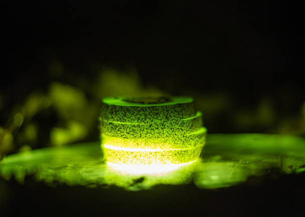 Освещенные ломтики киви
 - Фото, изображение