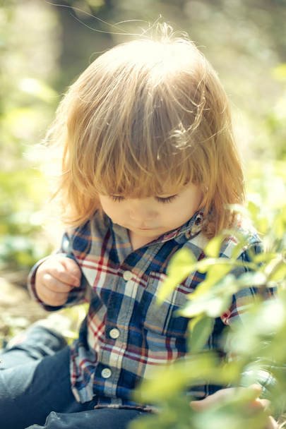 Small boy outdoor - Фото, изображение