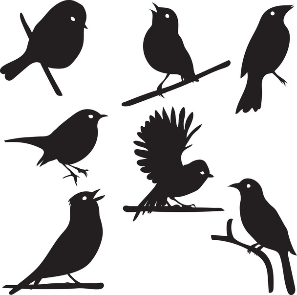 Bird Silhouettes, bird on branch - Vector, Imagen