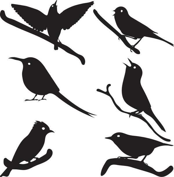 Bird Silhouettes, bird on branch - Vektor, obrázek