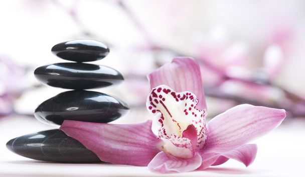 Spa Stones and orchid flower - Foto, afbeelding