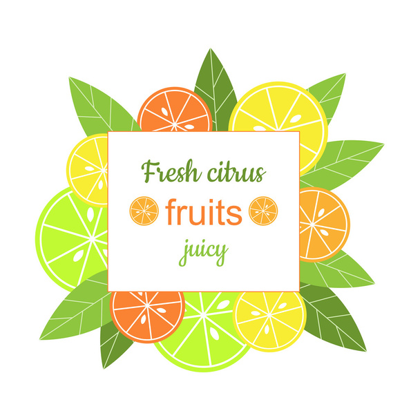 Vector square frame with citrus. - Vector, Image