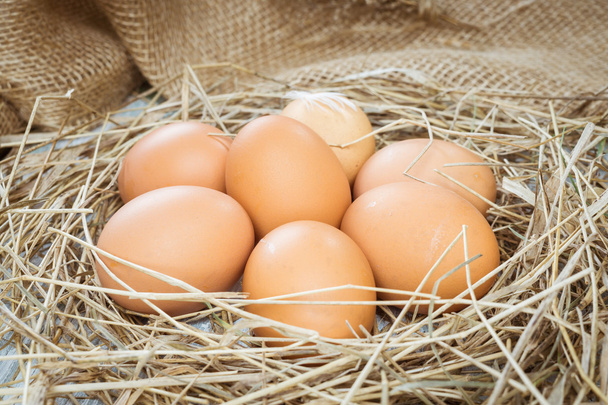 Brązowe jaja w siano - Zdjęcie, obraz