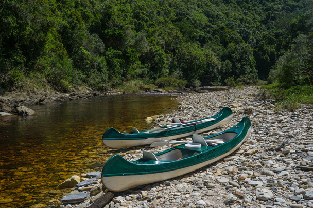 Canoas en la costa del río
 - Foto, imagen