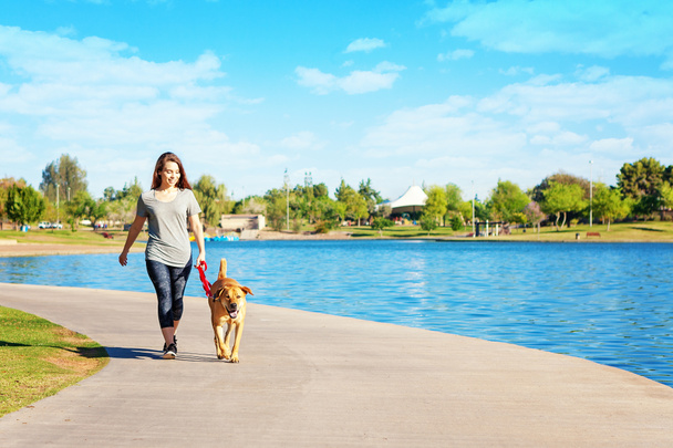Woman and Dog in Park - Foto, imagen