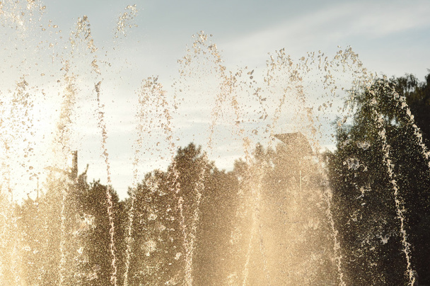 фонтан спрей солнце вечерний парк
 - Фото, изображение
