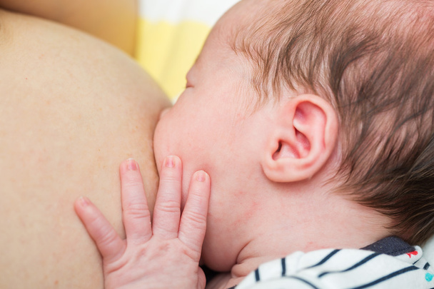 Eight days old newborn baby girl during breastfeeding - Foto, afbeelding