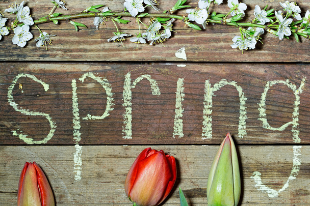 Spring background flowers and inscription in chalk - Foto, Imagem