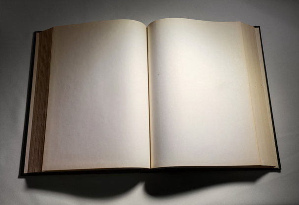 Prázdné bílé stránky v otevřené knize  - Fotografie, Obrázek