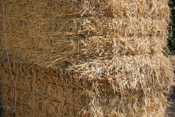 Kuru, sıkıştırılmış saman        - Fotoğraf, Görsel