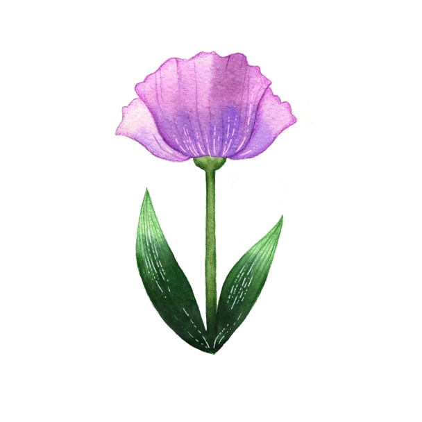 Красивый акварельный цветок
 - Фото, изображение