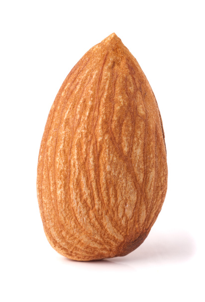 Yksi manteli pähkinä eristetty valkoisella pohjalla lähikuva makro
 - Valokuva, kuva