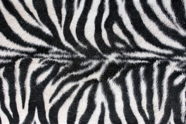 Zebra textúra - Fotó, kép