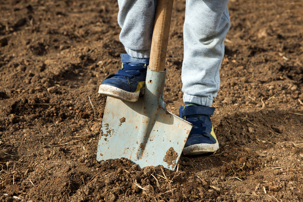 хлопчик тримає ногу на лопаті в саду
 - Фото, зображення
