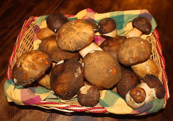 mushrooms in the basket - Photo, Image