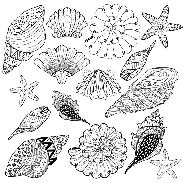 Vector set Shells, zentangle seashells for adult anti stress Col - Vector, afbeelding
