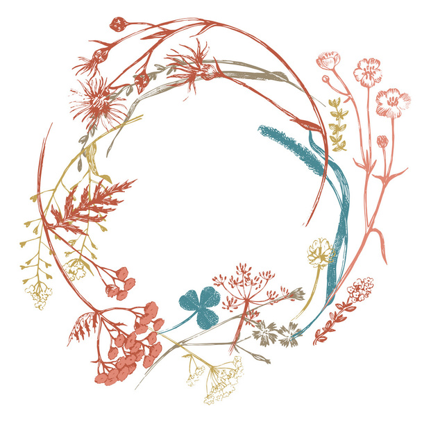 Wreath with meadows herbs - Vektor, kép