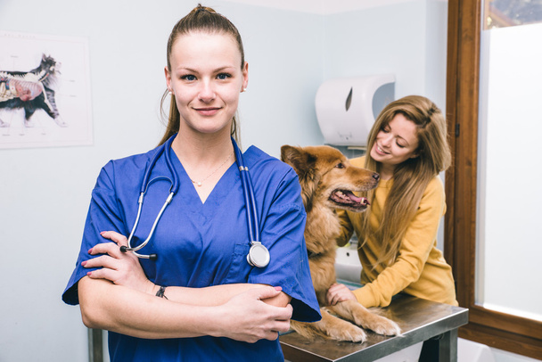 veterinary with dog and client - Foto, imagen