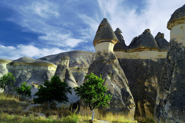 Bizarre forms of relief of Turkish Cappadocia. Goreme national p - Zdjęcie, obraz