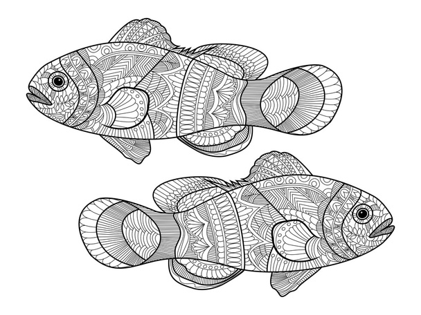 Clown fish coloring book for adults vector - Vecteur, image